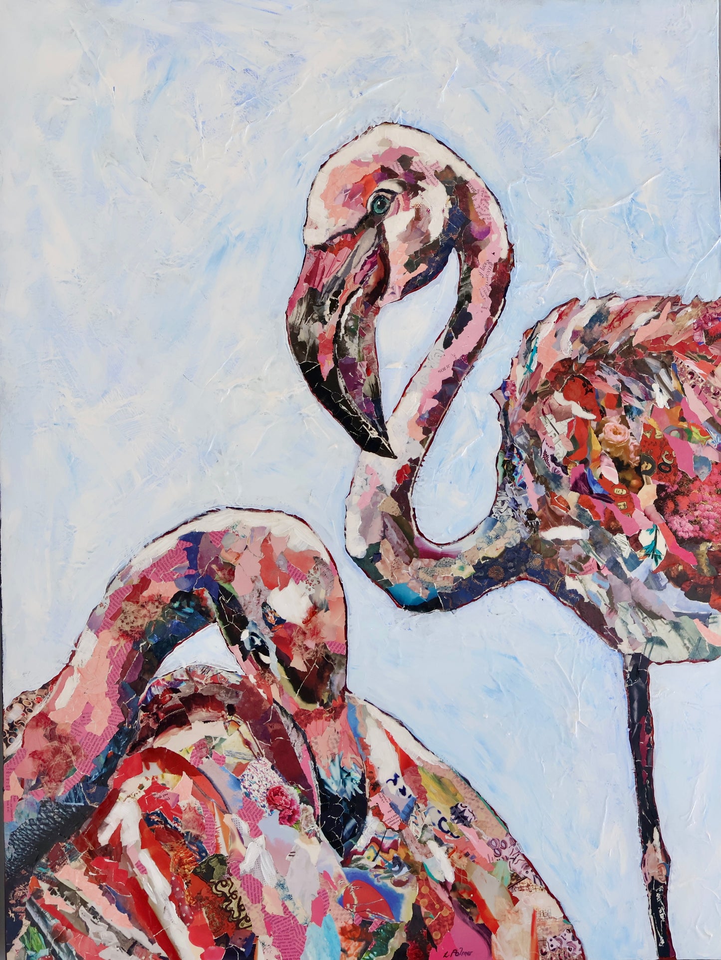 Flamingos