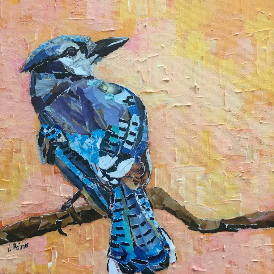 Blue Jay