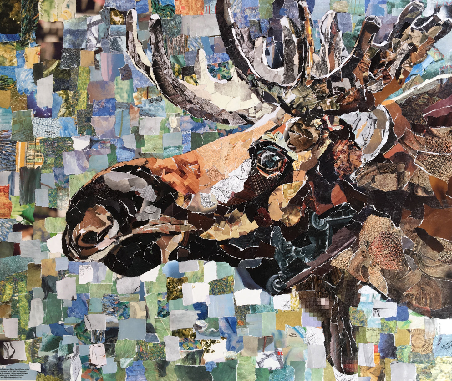Moose