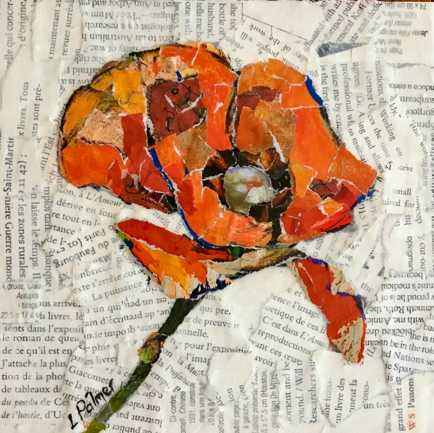 Poppy #2 – Louise Palmer Art