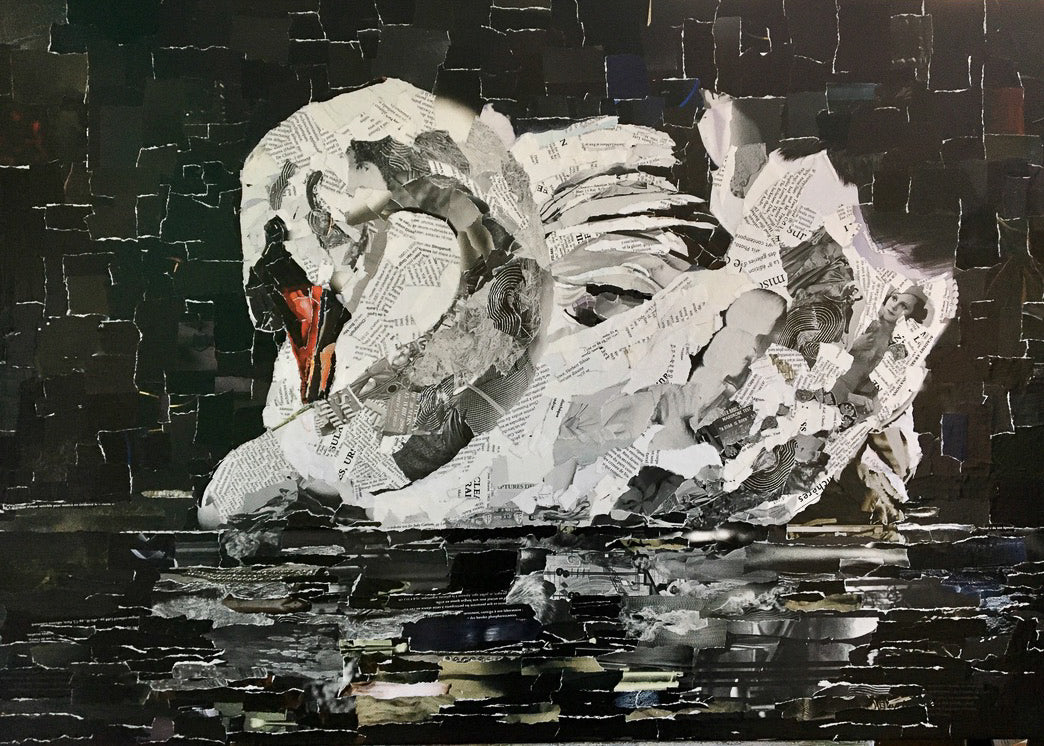 Swan Diva