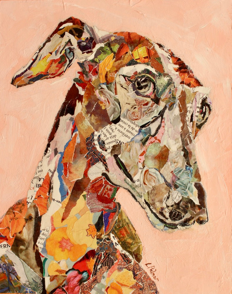 dog collage art looking sideways