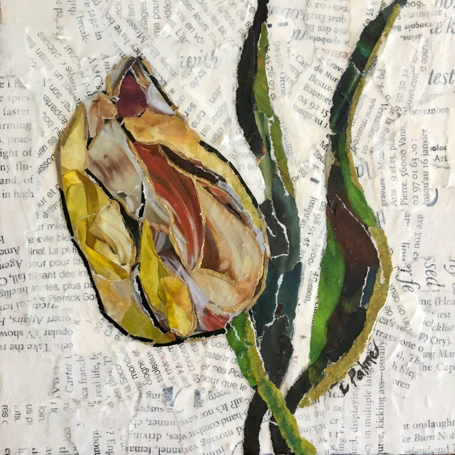 Tulip