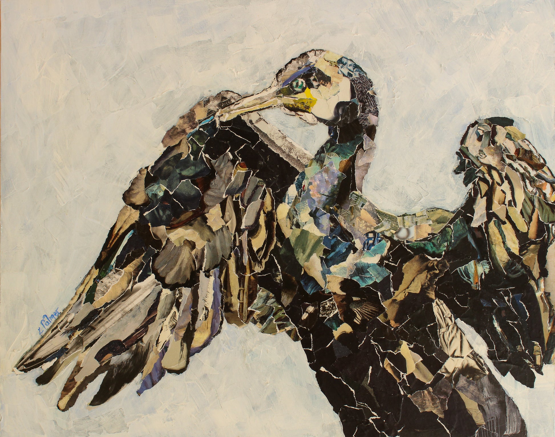 bird art collage cormorant