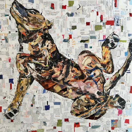 collage art showing a happy brown dog 