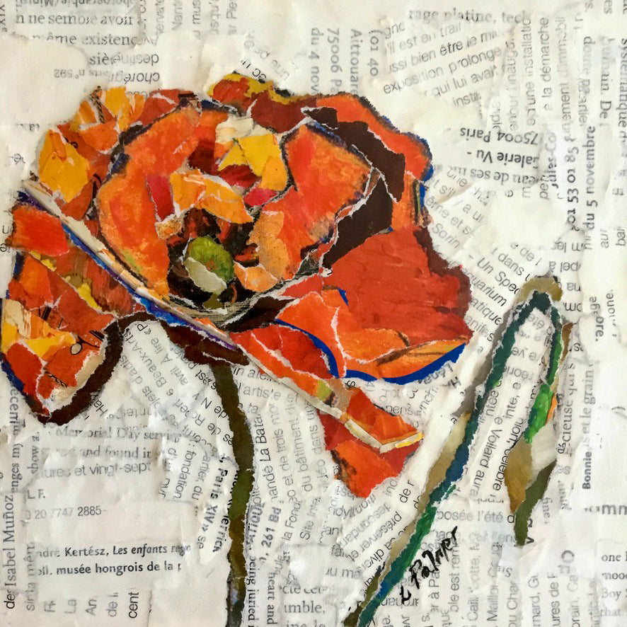 Poppy #1 – Louise Palmer Art